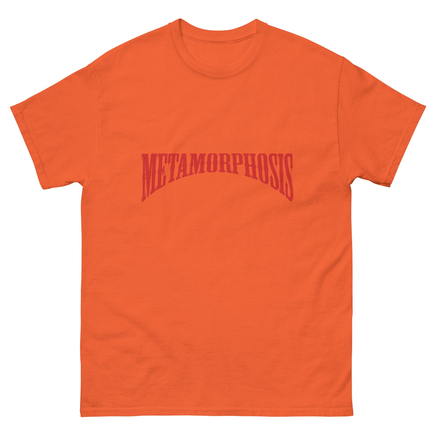 METAMORPHOSIS. Men's graphic tee 109